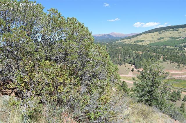 552 Andes Road Cripple Creek, CO 80813 - Photo 7 of 16