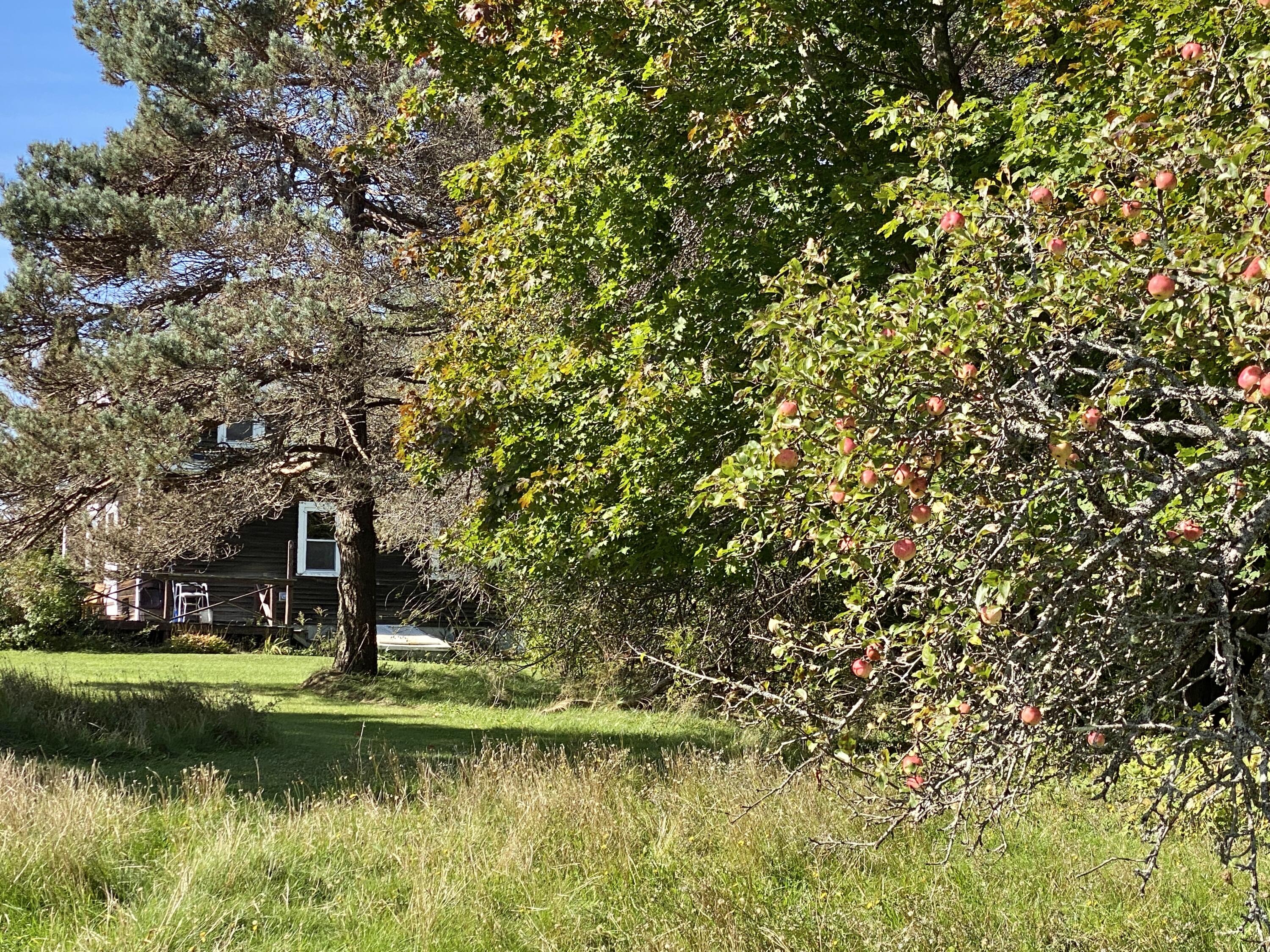 521 River Road St. George, ME 04860 - Photo 14 of 83 8972C22F-C6F2-4500-99E7-A18B4F9173BF