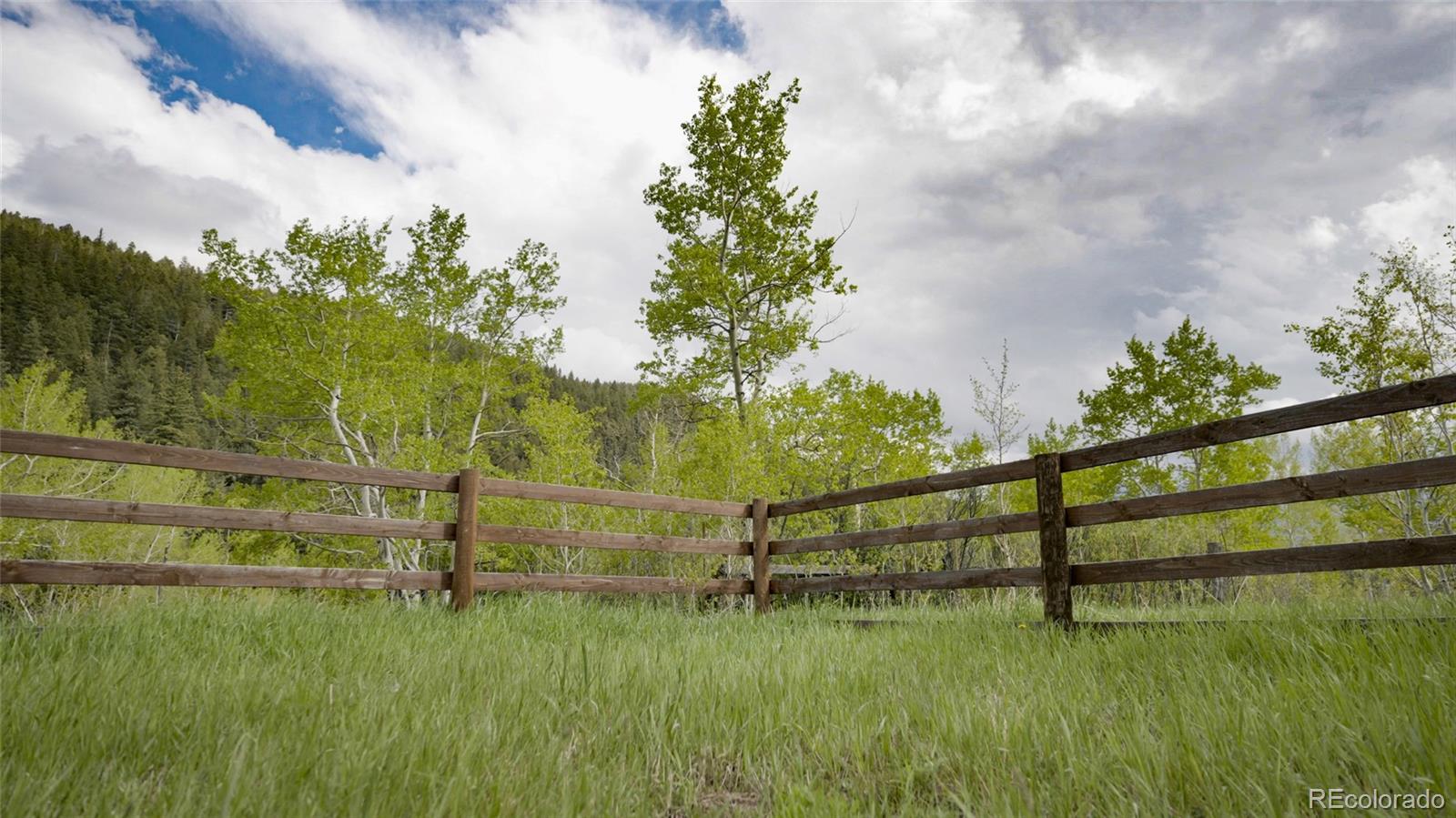 950 Corral Creek Road Evergreen, CO 80439 - Photo 17 of 50 a view of park along with stairs