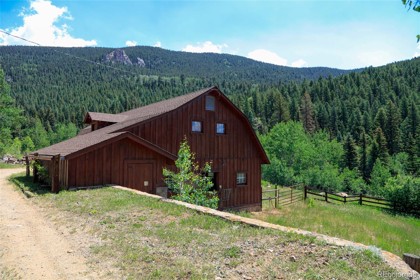 950 Corral Creek Road Evergreen, CO 80439 - Photo 21 of 50 a view of a back yard with a plants