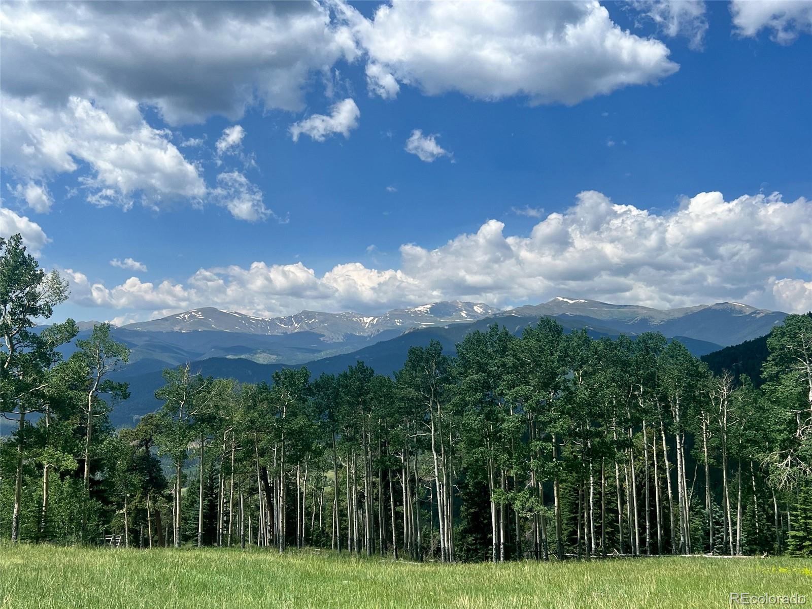 950 Corral Creek Road Evergreen, CO 80439 - Photo 25 of 50 a view of a big yard with potted plants and large trees