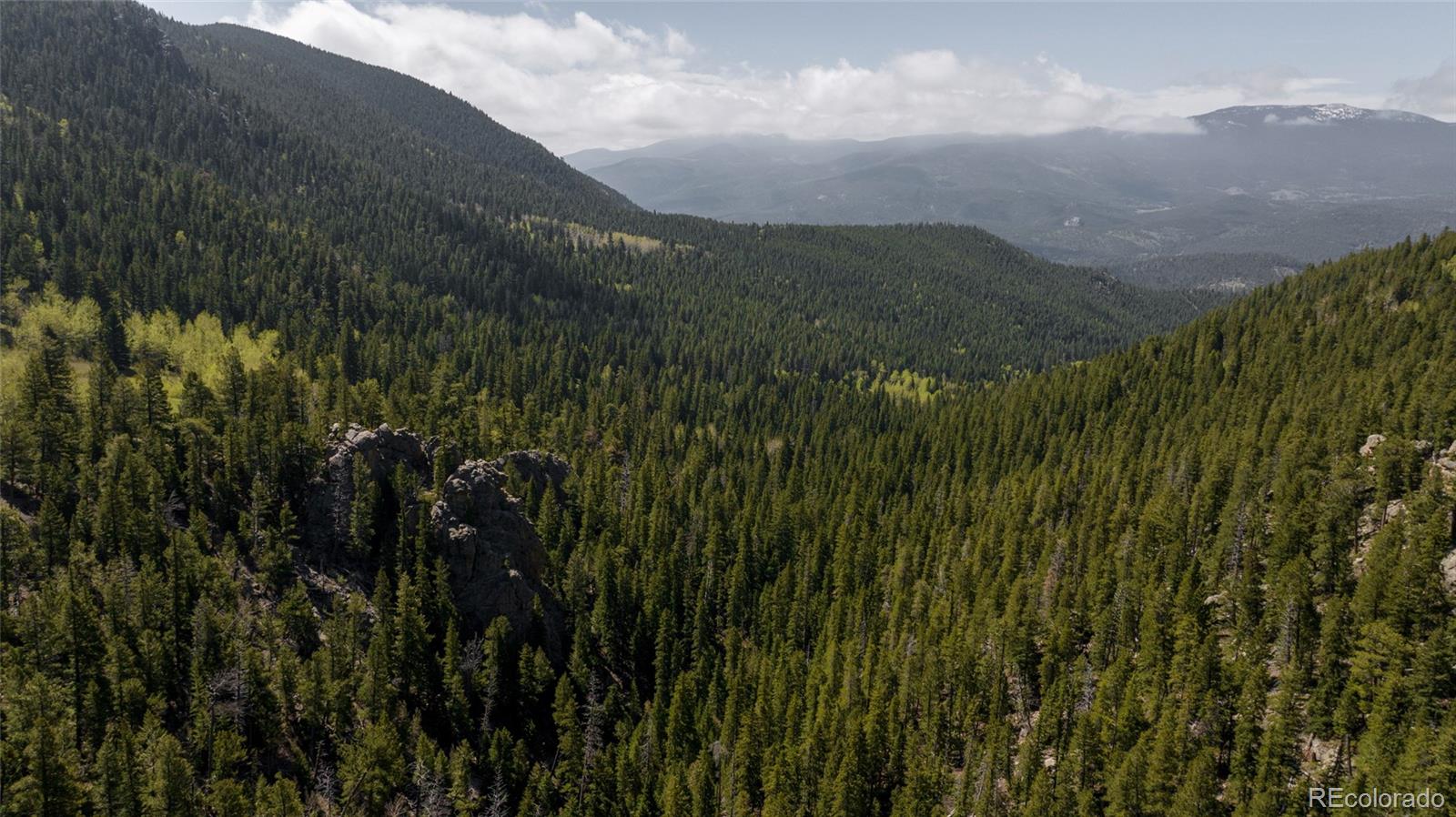 950 Corral Creek Road Evergreen, CO 80439 - Photo 35 of 50 a view of a lush green hillside next to a mountain