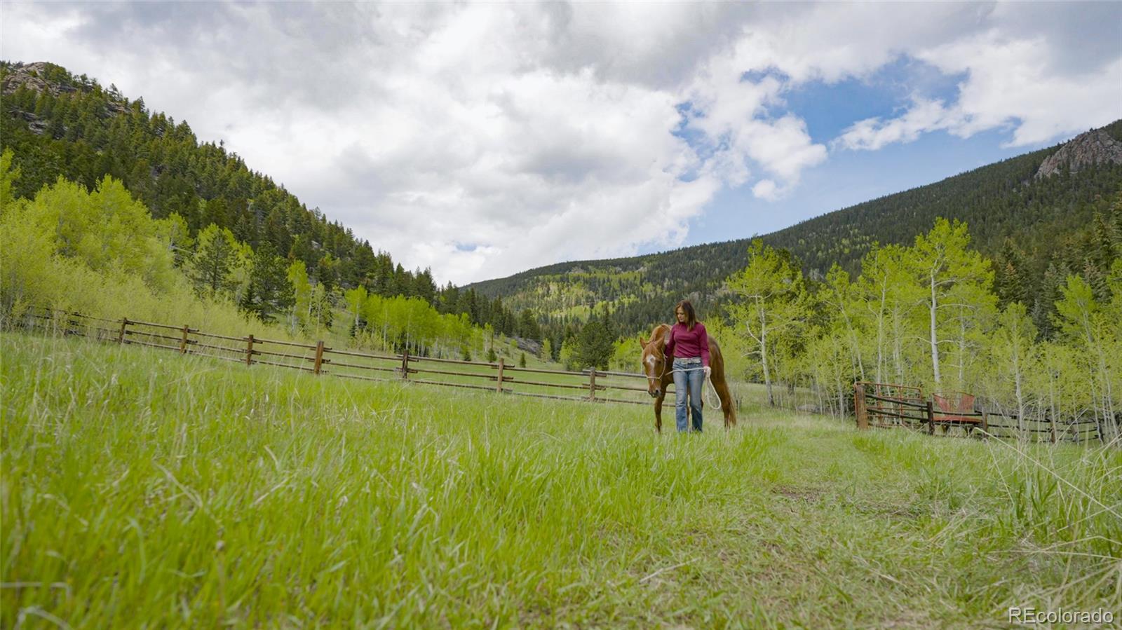 950 Corral Creek Road Evergreen, CO 80439 - Photo 37 of 50 a view of an outdoor space yard and entertaining space