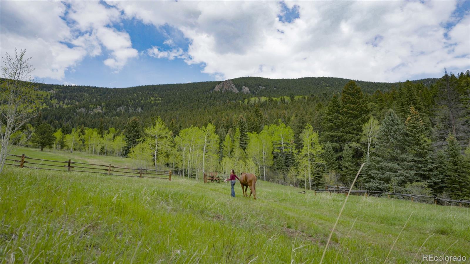 950 Corral Creek Road Evergreen, CO 80439 - Photo 4 of 50 a view of a field with an trees