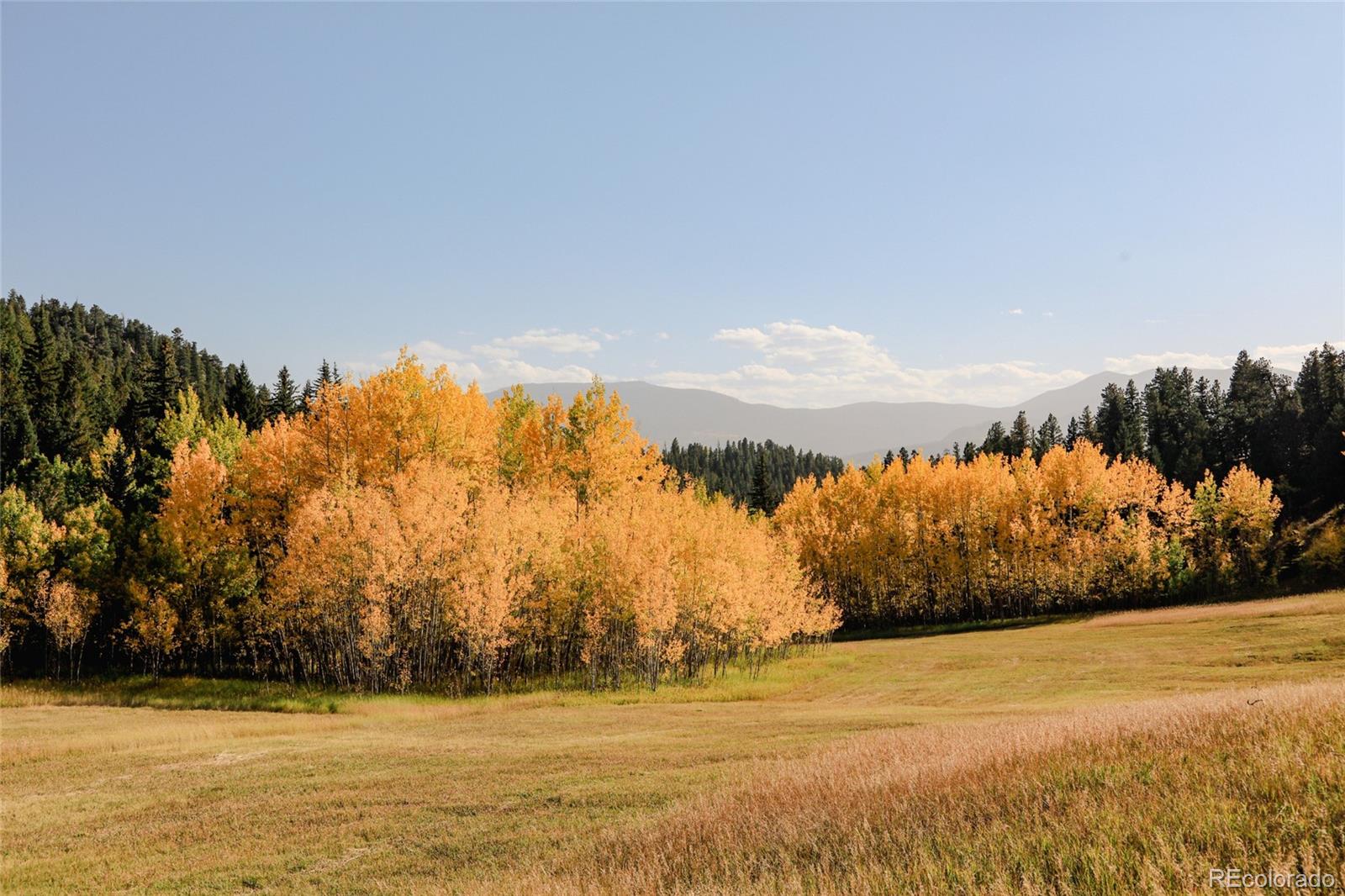 950 Corral Creek Road Evergreen, CO 80439 - Photo 41 of 50 a view of an outdoor space and mountain view