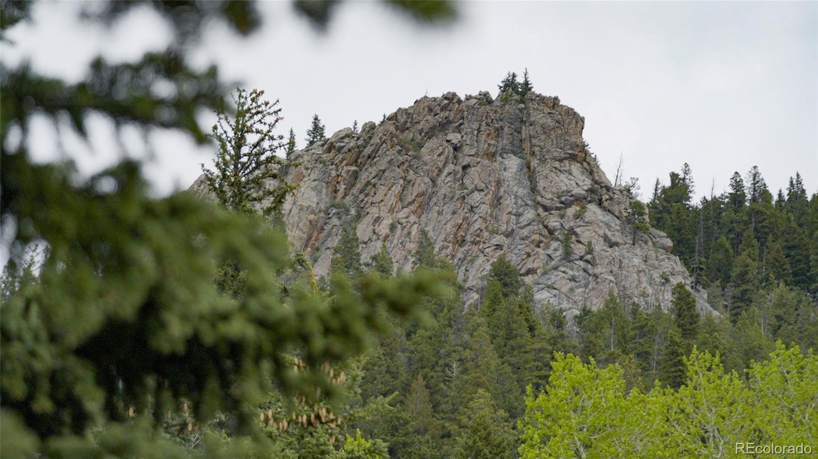 950 Corral Creek Road Evergreen, CO 80439 - Photo 7 of 50 a view of a forest