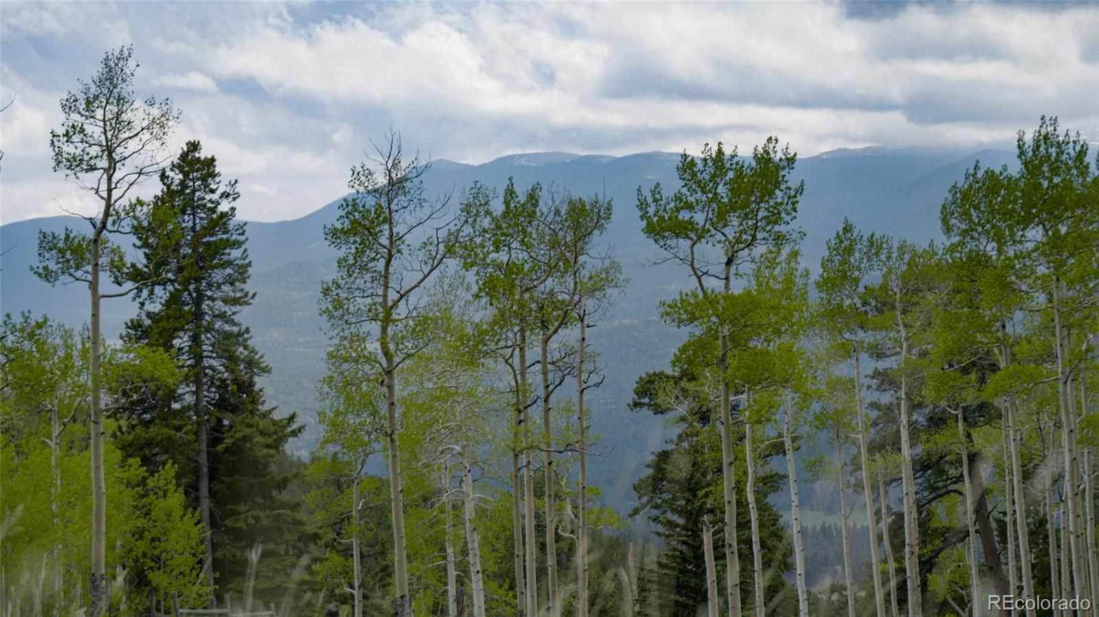 950 Corral Creek Road Evergreen, CO 80439 - Photo 8 of 50 a view of a lake with a lake
