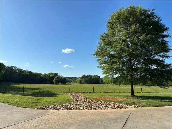 a view of a park with large trees