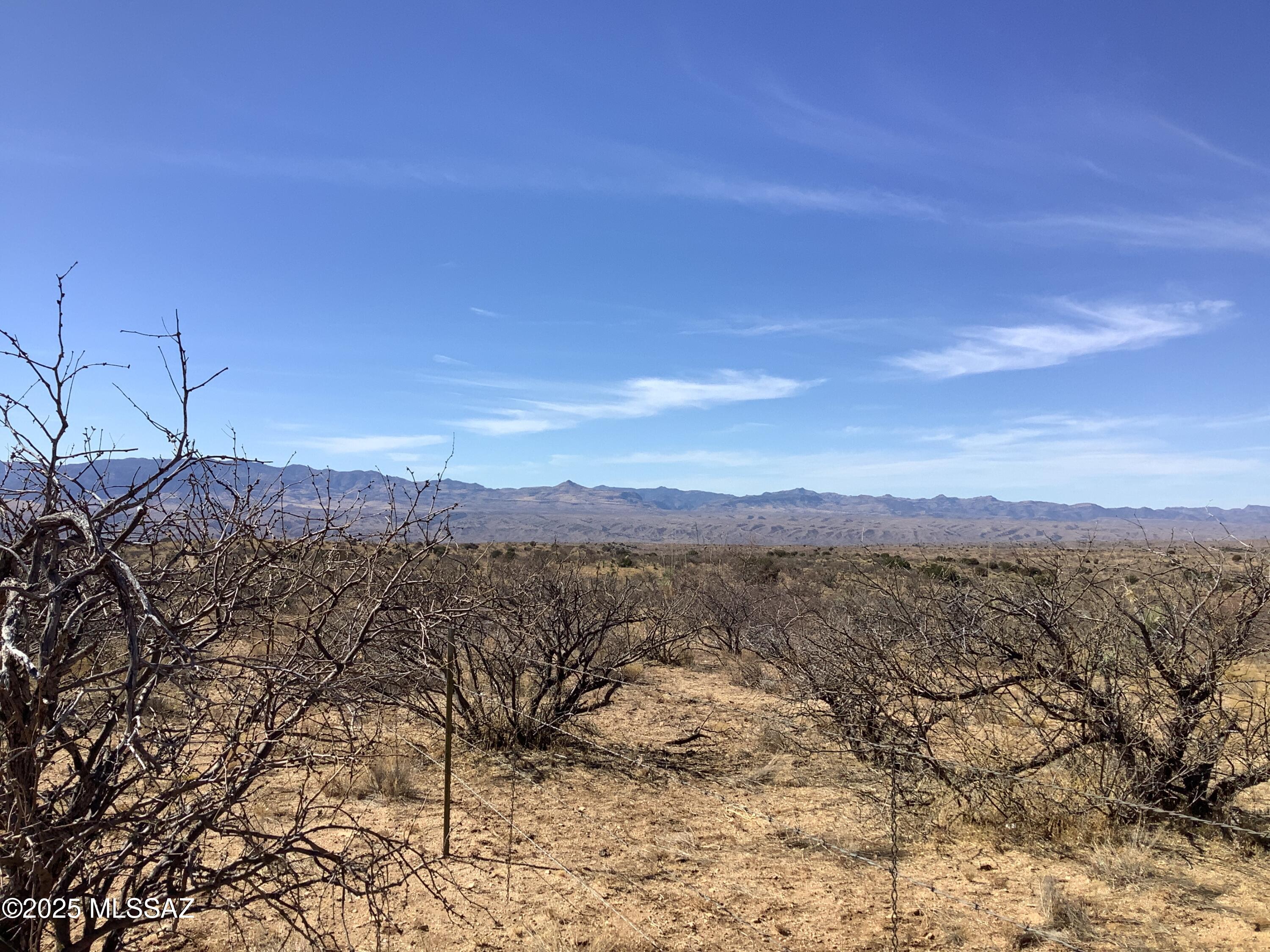 37.21-ac West Sheepwash Road, Unit 254 Willcox, AZ 85643 - Photo 24 of 37