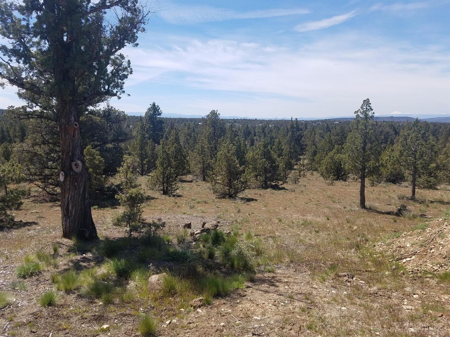 12632 Southeast Bridge Road Prineville, OR 97754 - Photo 2 of 14 Additional Photo