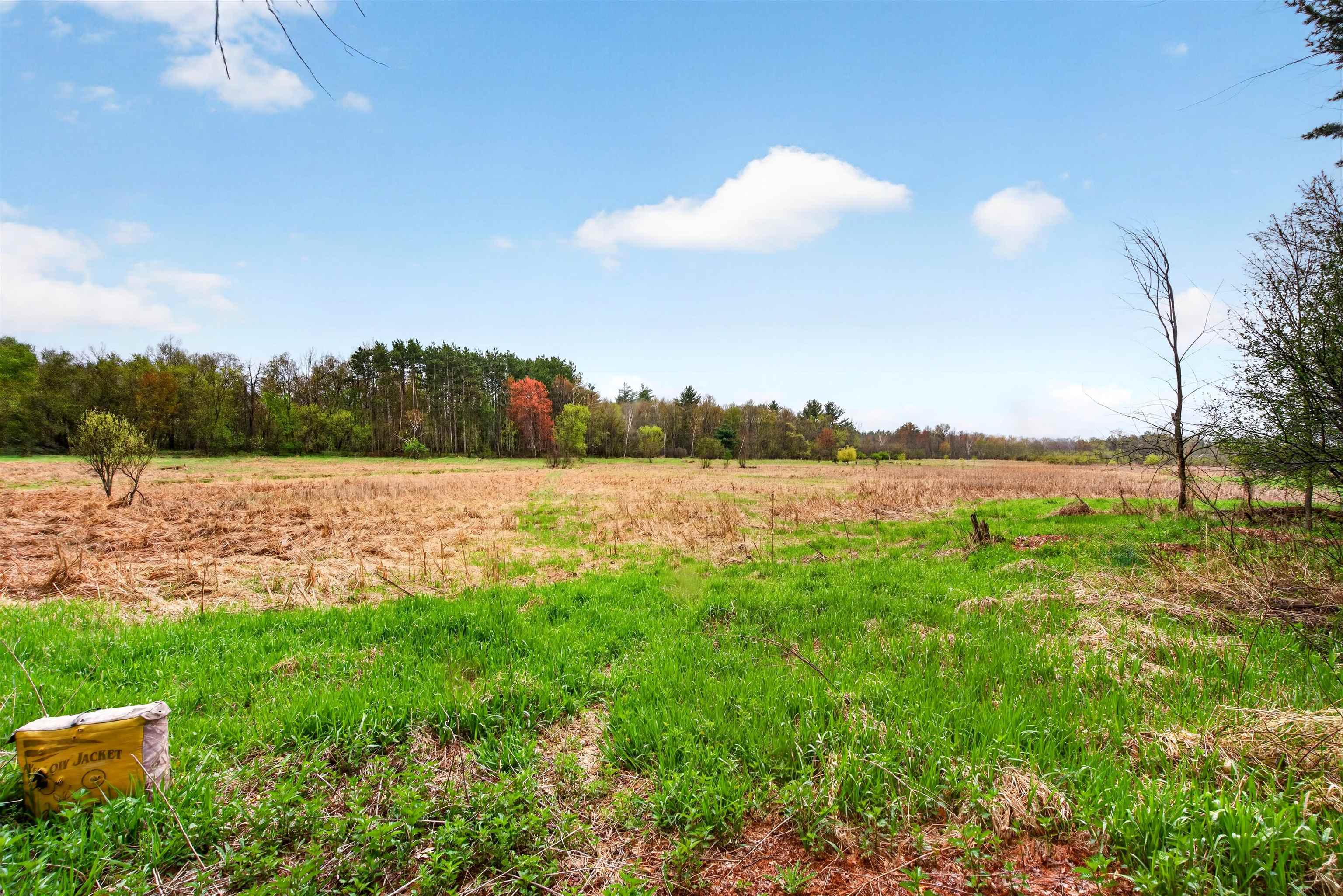 N6989 County Rd A Weyauwega, WI 54983 - Photo 61 of 70