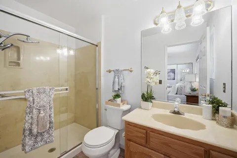 a bathroom with a sink a toilet a mirror a vanity and shower