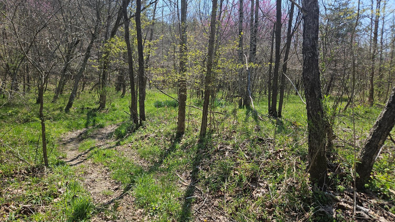 0 Spruce Hollow Road South Webster, OH 45682 - Photo 46 of 54