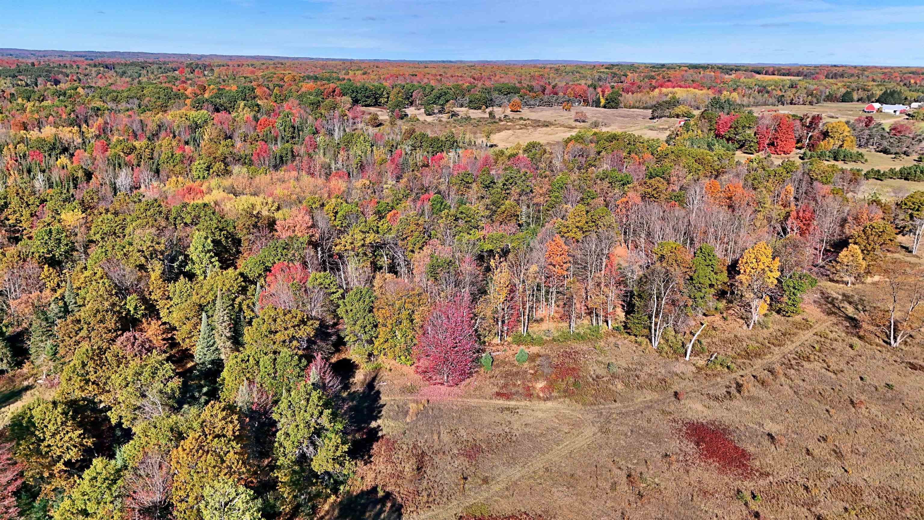 0 Twin Lake Road Marion, MI 49665 - Photo 18 of 33