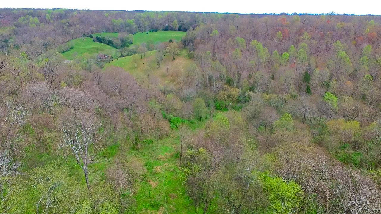 544 Spencer Ridge Road Lynchburg, TN 37352 - Photo 1 of 22 a view of a lush green forest with trees and some houses