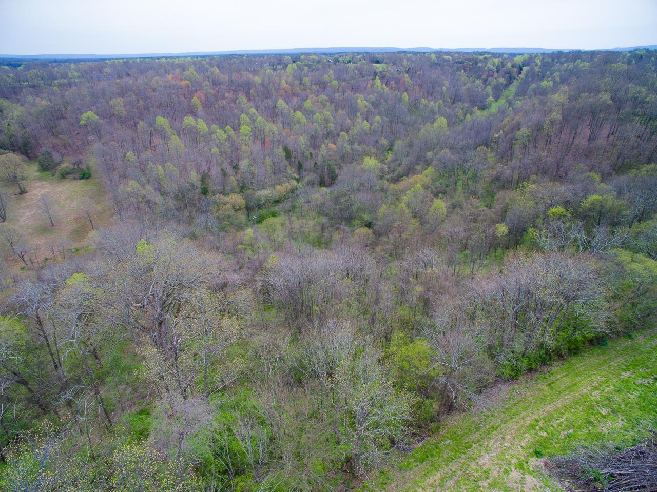 544 Spencer Ridge Road Lynchburg, TN 37352 - Photo 17 of 22 a view of a dry field