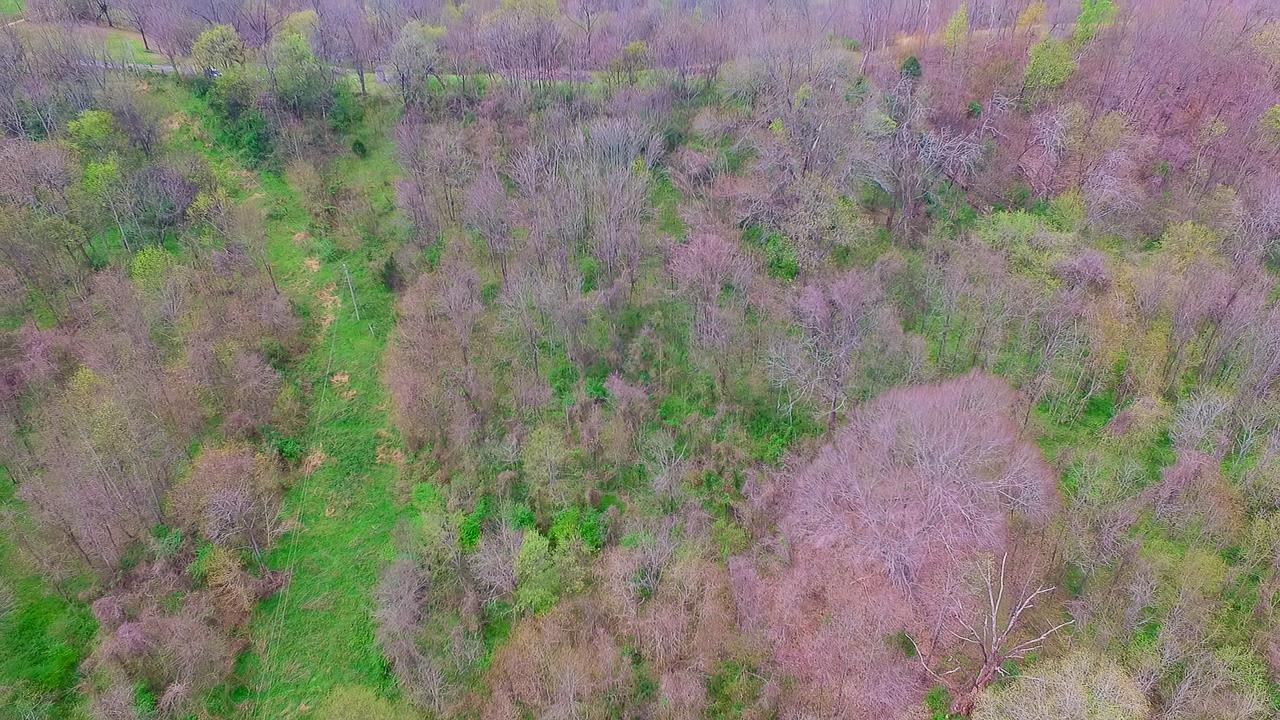 544 Spencer Ridge Road Lynchburg, TN 37352 - Photo 4 of 22 a view of a garden with a tree