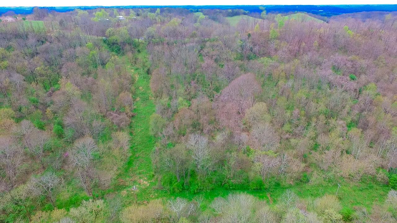 544 Spencer Ridge Road Lynchburg, TN 37352 - Photo 5 of 22 a view of a lush green forest with trees in the background
