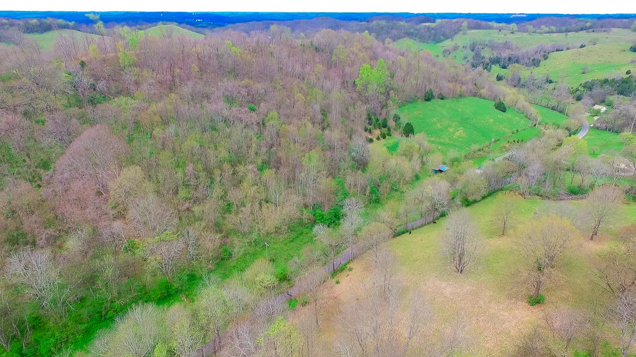 544 Spencer Ridge Road Lynchburg, TN 37352 - Photo 6 of 22 a view of a yard with a tree