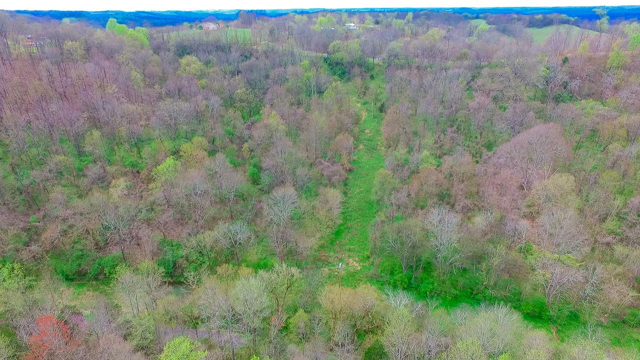 544 Spencer Ridge Road Lynchburg, TN 37352 - Photo 8 of 22 a view of a lush green forest with trees and some houses