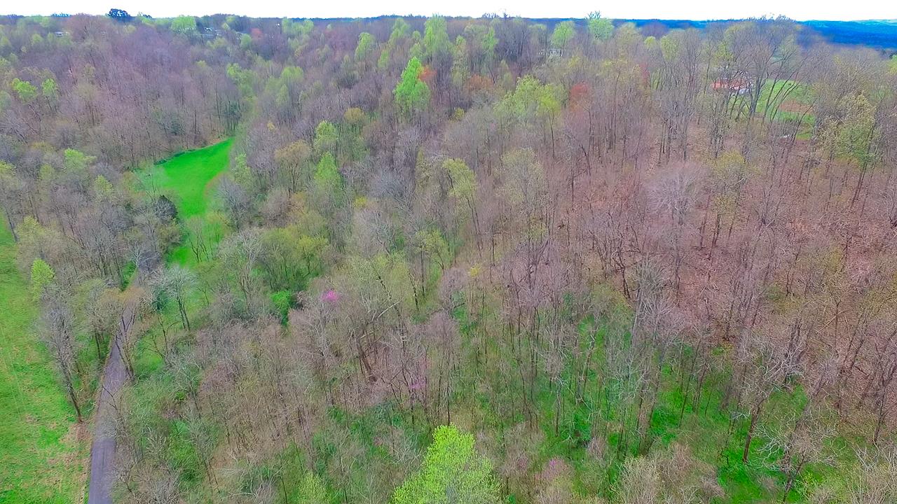 544 Spencer Ridge Road Lynchburg, TN 37352 - Photo 9 of 22 a view of a lush green forest with trees and some houses