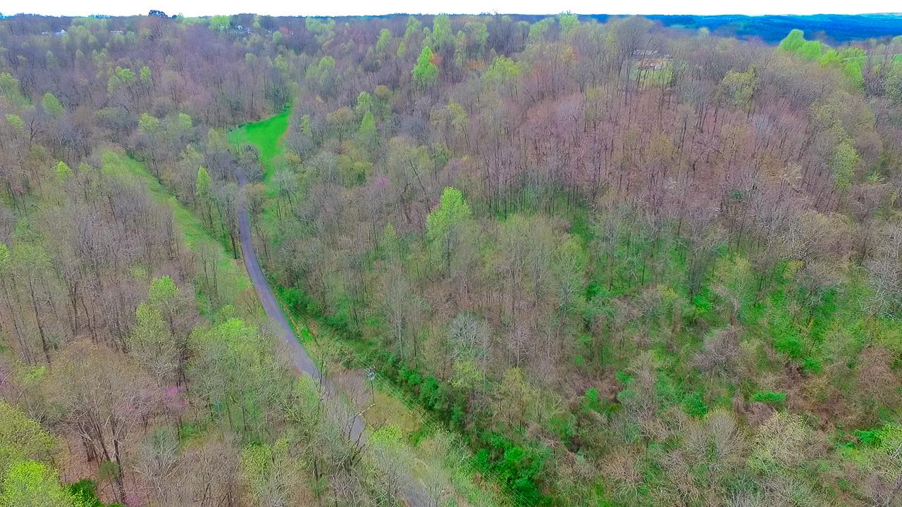 544 Spencer Ridge Road Lynchburg, TN 37352 - Photo 10 of 22 a view of a lush green forest