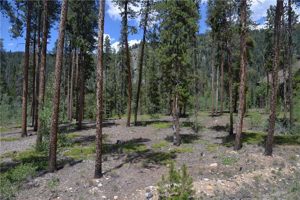 65 Wolf Rock Road Keystone, CO 80435 - Photo 3 of 15 a view of outdoor space with lots of trees