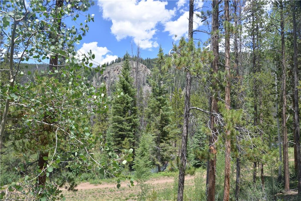 65 Wolf Rock Road Keystone, CO 80435 - Photo 4 of 15 a view of a city with lush green forest