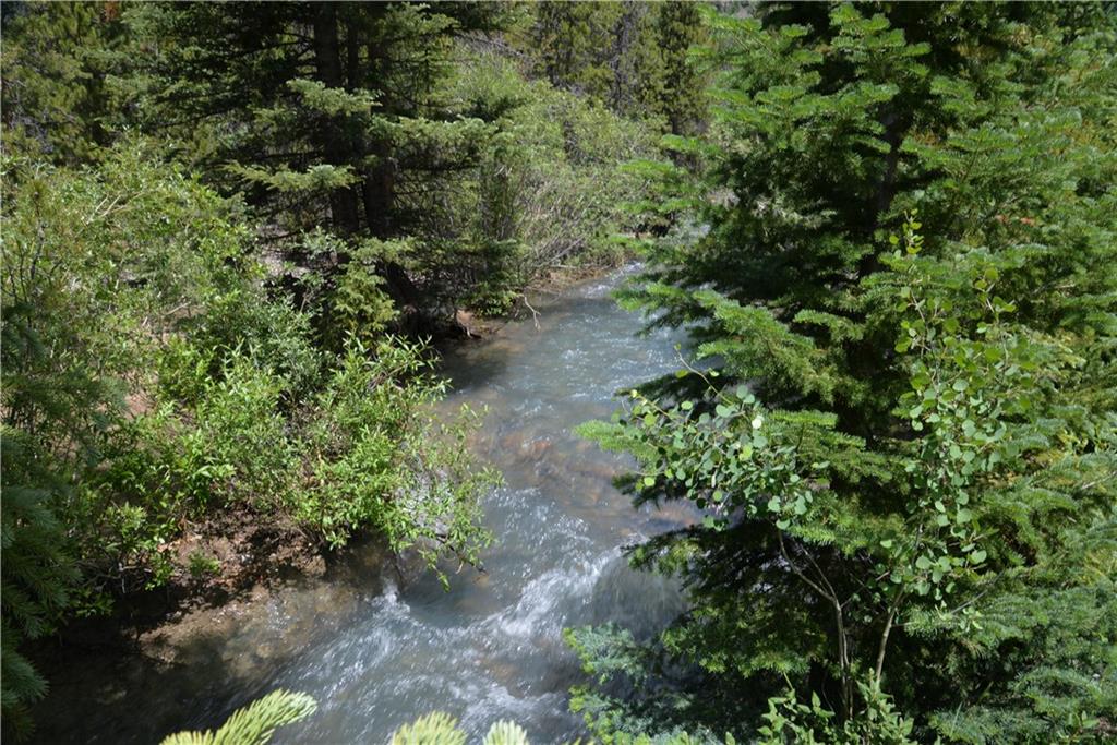 65 Wolf Rock Road Keystone, CO 80435 - Photo 5 of 15 a view of a forest with a tree