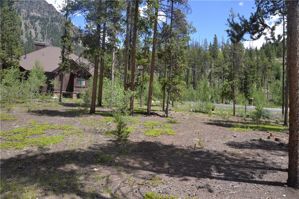 65 Wolf Rock Road Keystone, CO 80435 - Photo 6 of 15 a view of a tree in front of a house