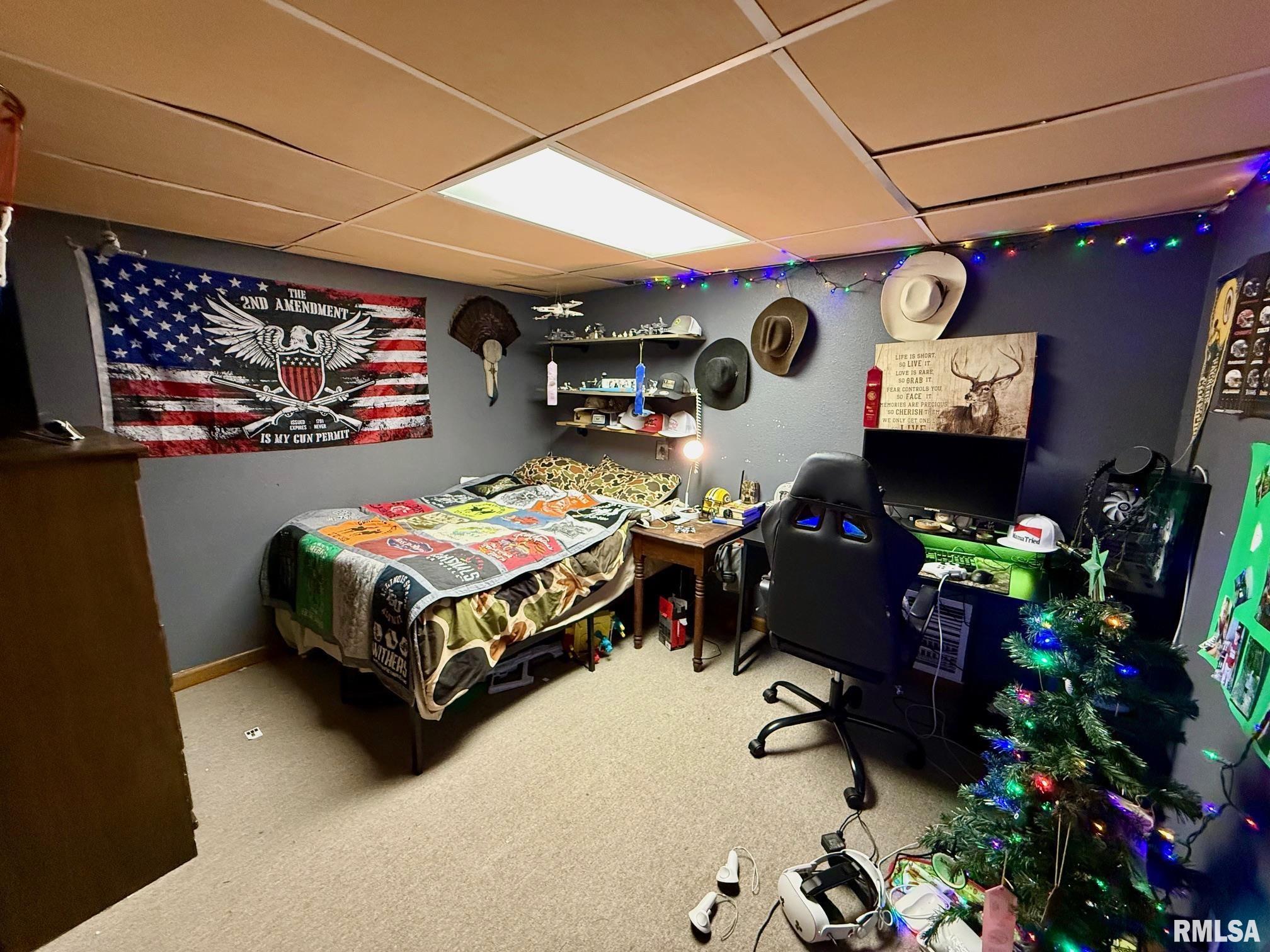 19298 Pinecrest Road Petersburg, IL 62675 - Photo 22 of 29