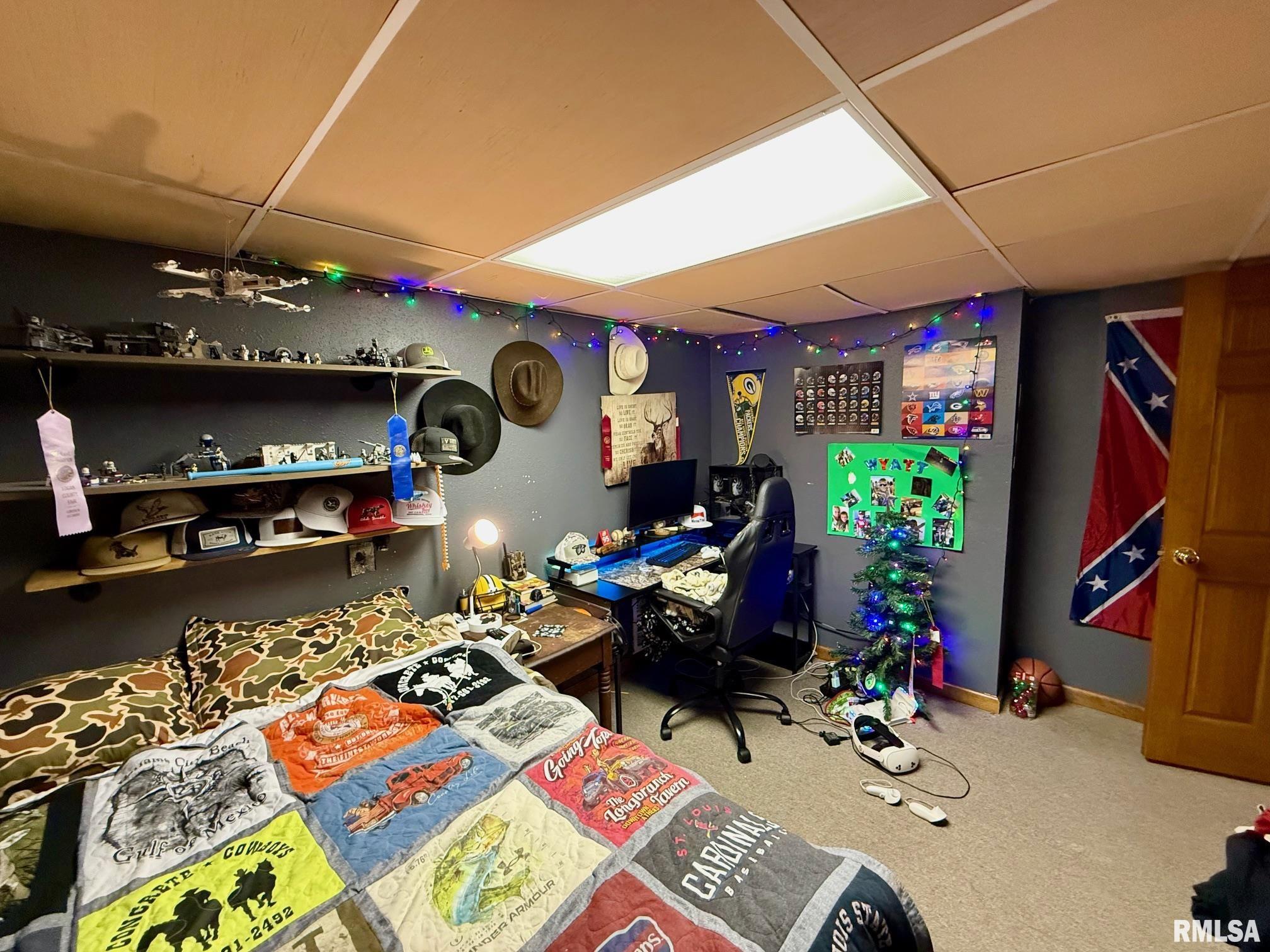 19298 Pinecrest Road Petersburg, IL 62675 - Photo 23 of 29