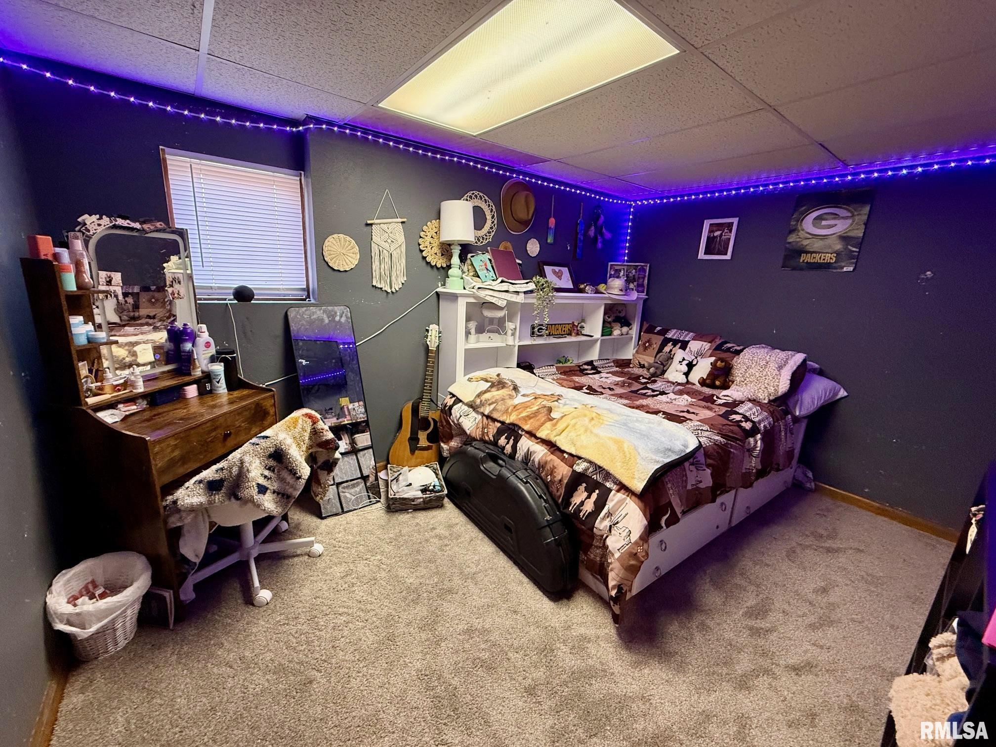 19298 Pinecrest Road Petersburg, IL 62675 - Photo 24 of 29