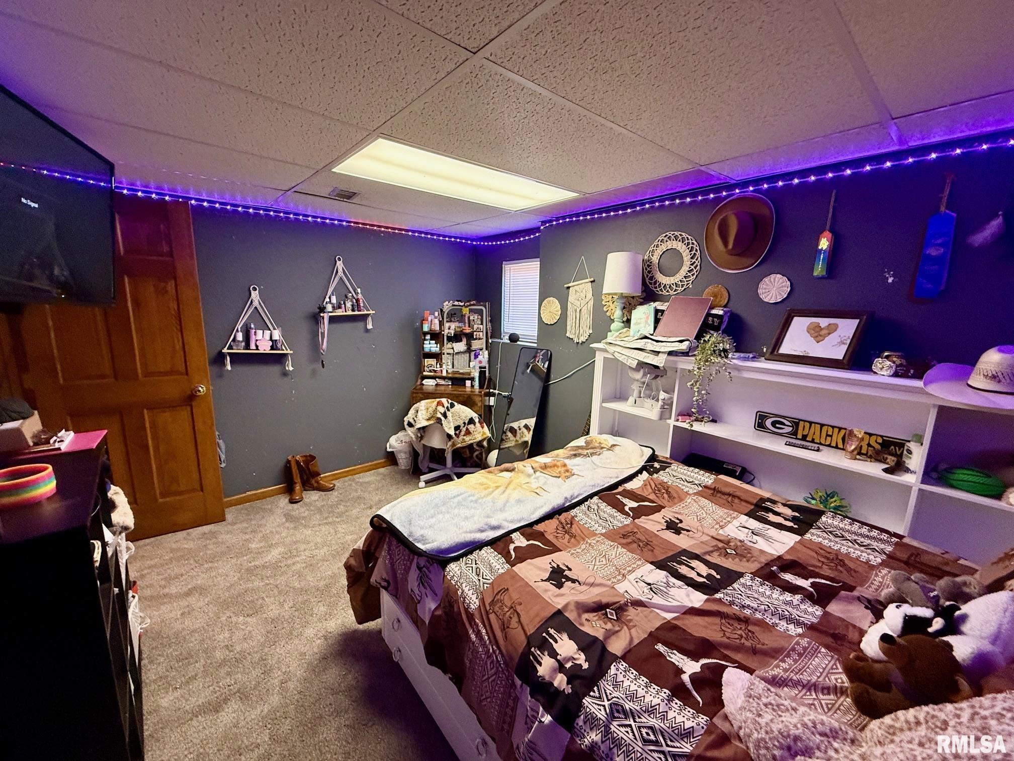 19298 Pinecrest Road Petersburg, IL 62675 - Photo 25 of 29