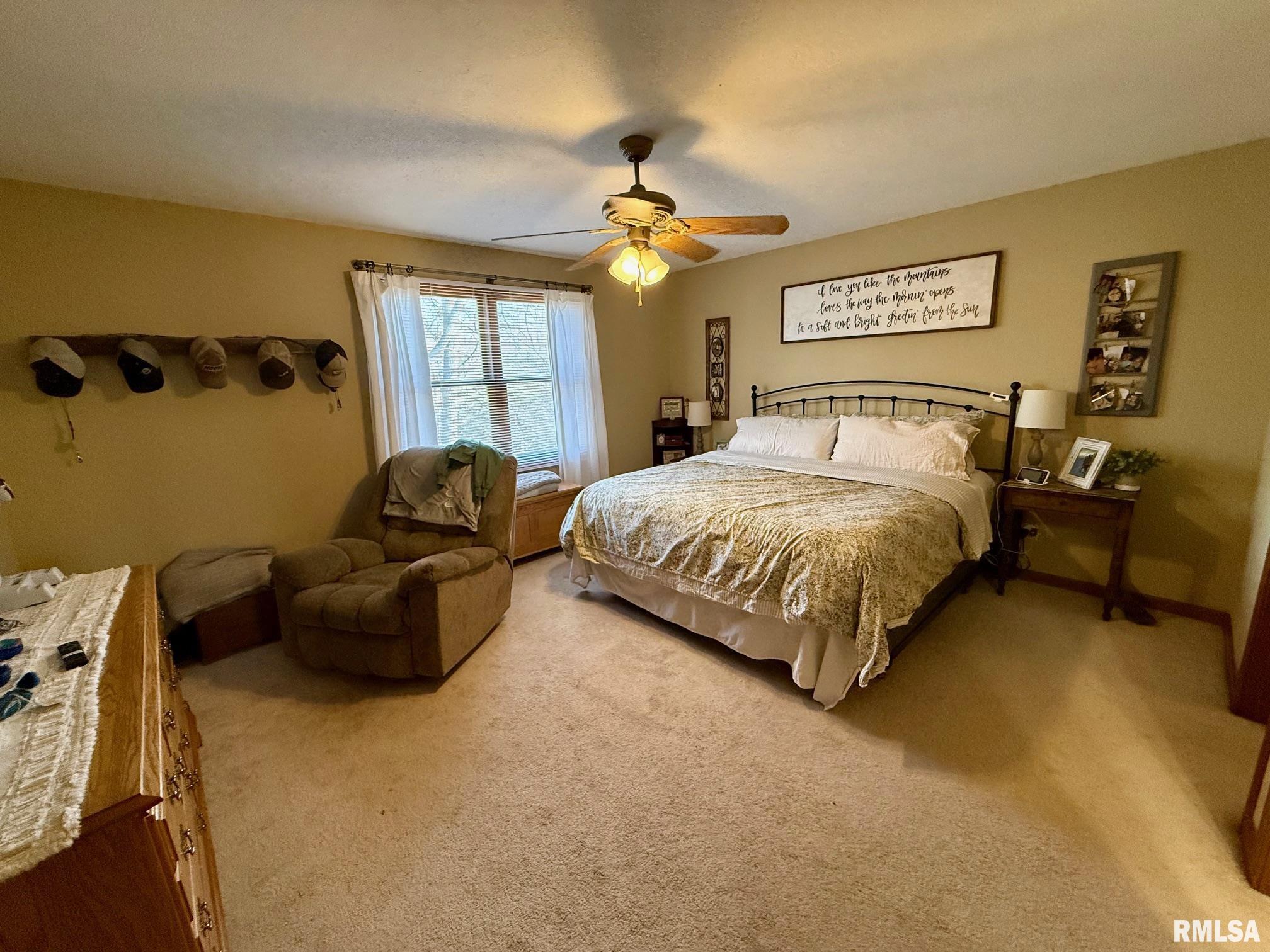 19298 Pinecrest Road Petersburg, IL 62675 - Photo 10 of 29