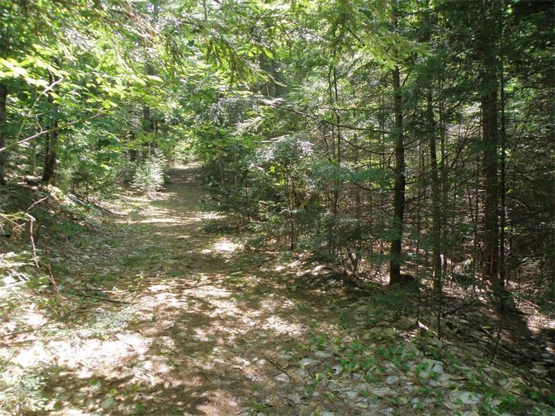 72 West Old Main Road Lowell, ME 04493 - Photo 1 of 1 Photo