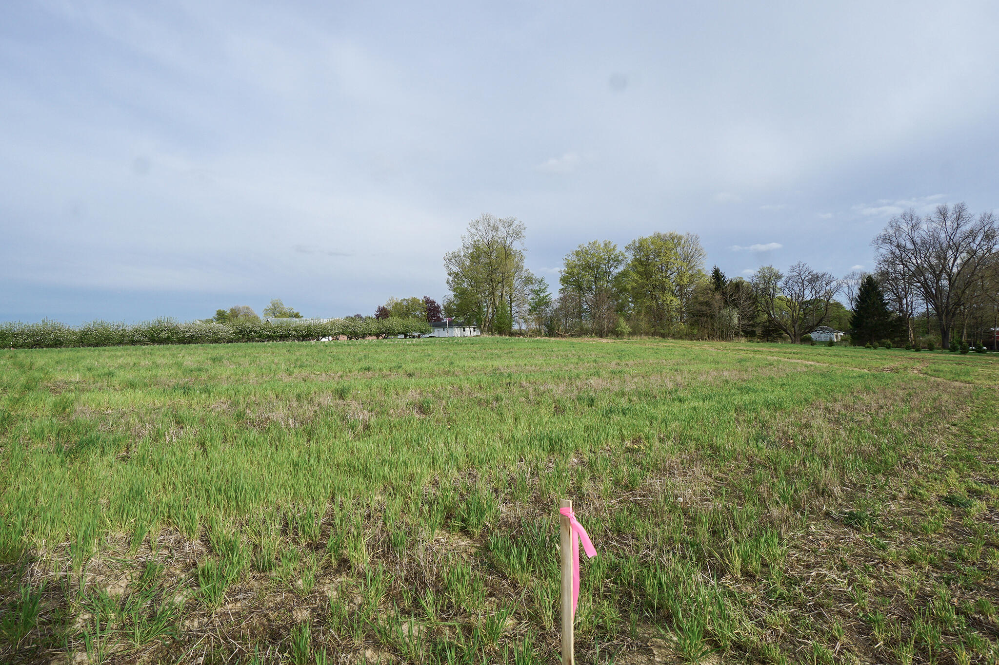 Vl F East Territorial Road Rives Junction, MI 49277 - Photo 3 of 4 Parcel-F-NW-View-Neil-Hardcastle-Home-1s