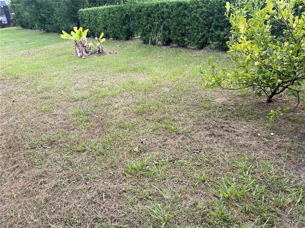 1312 Ralph Poe Drive Apopka, FL 32703 - Photo 14 of 14 a view of a lawn chair and fire pit