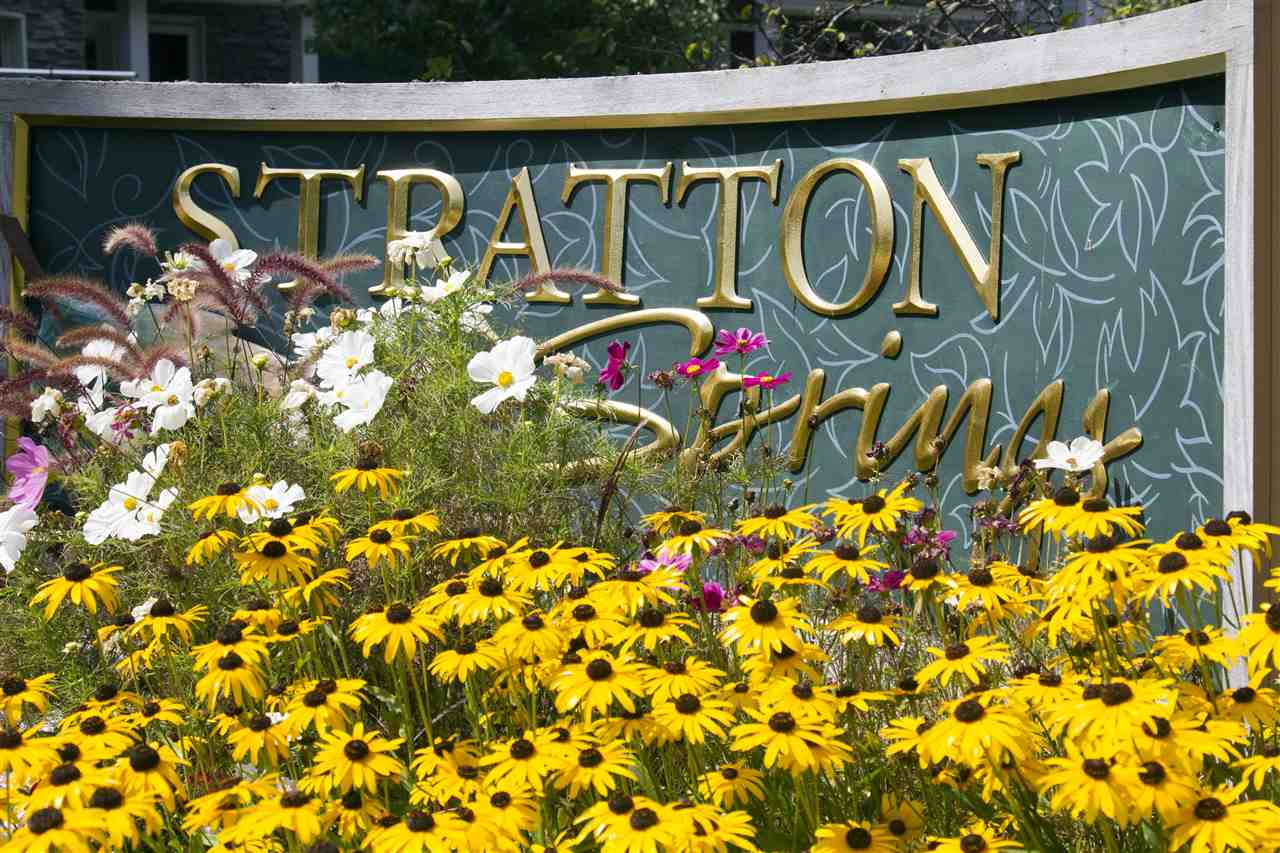 7 Arbor Road, Unit 7D Stratton, VT 05155 - Photo 12 of 20