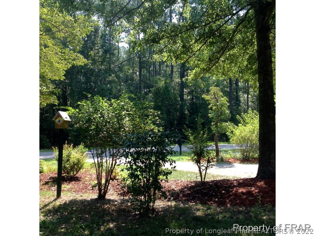 1103 Ellis Road Lumber Bridge, NC 28357 - Photo 17 of 27 Gallery Image 17