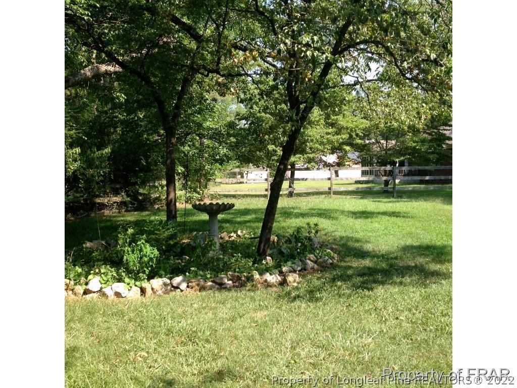 1103 Ellis Road Lumber Bridge, NC 28357 - Photo 25 of 27 Gallery Image 25