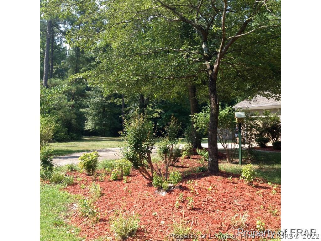 1103 Ellis Road Lumber Bridge, NC 28357 - Photo 27 of 27 Gallery Image 27