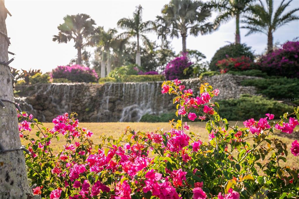2116 Muskogee Trail Nokomis, FL 34275 - Photo 47 of 62 a view of yard with flowers and flowers