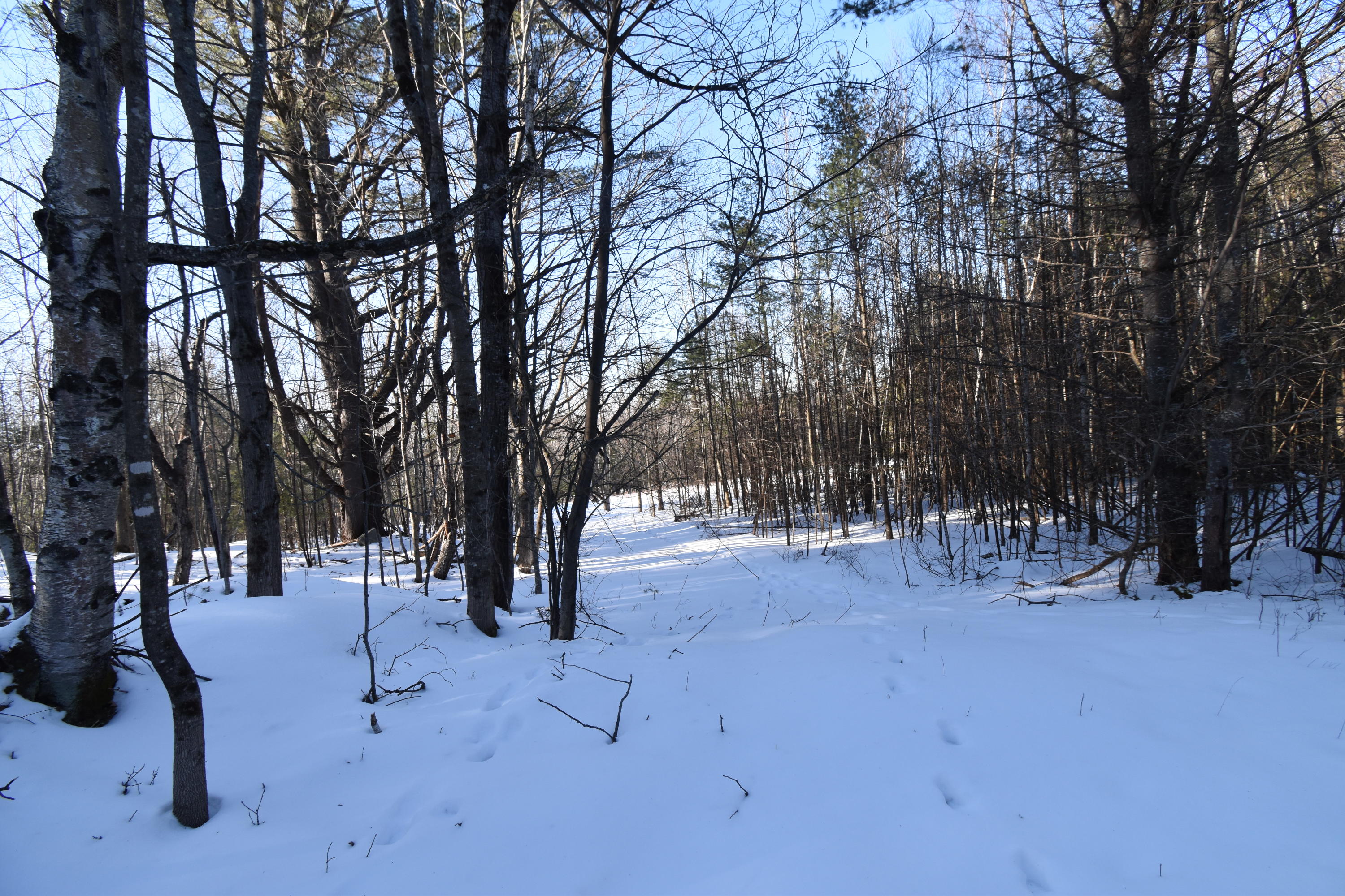 360 Watson Heights Road Kents Hill, ME 04349 - Photo 71 of 77 DSC_0358