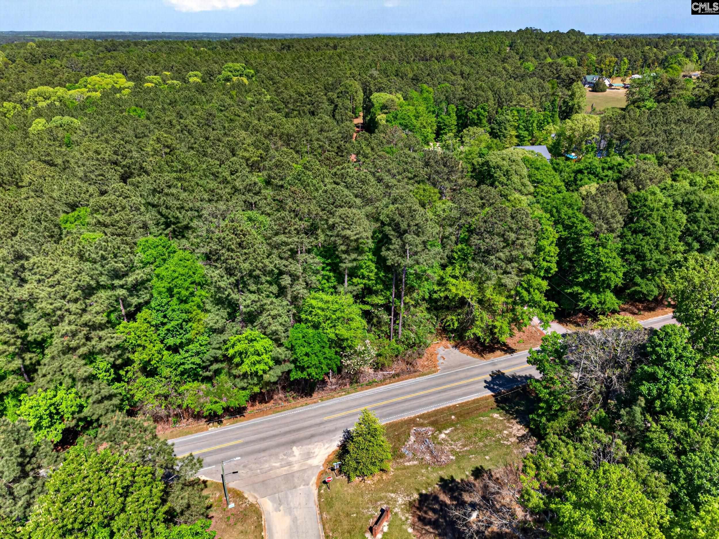 219 Juniper Springs Road, Unit PARCEL A &B Gilbert, SC 29054 - Photo 2 of 5