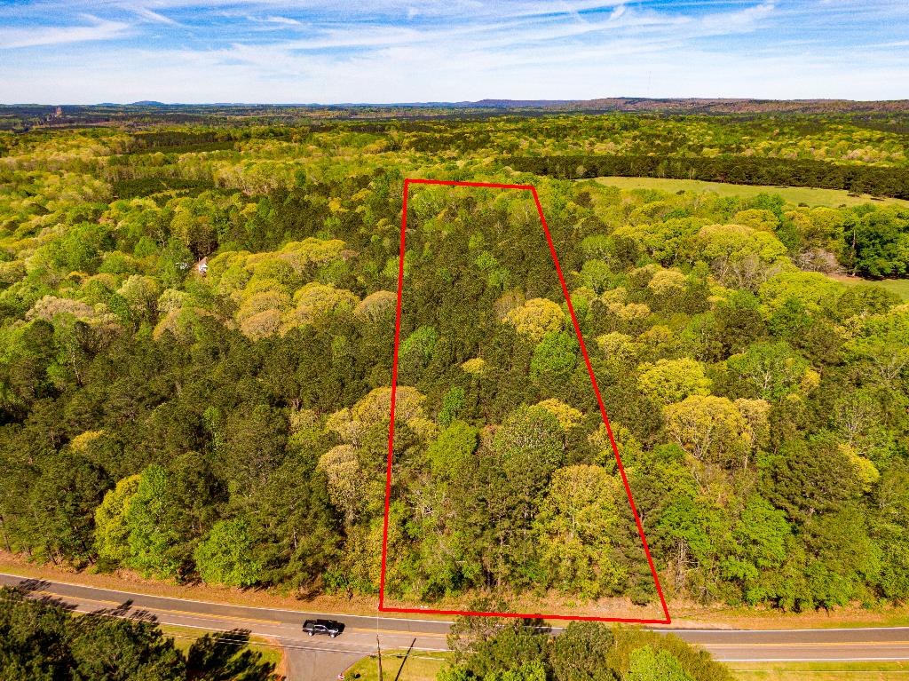 Lot 10 Chestnut Grove Road Shiloh, GA 31826 - Photo 1 of 17 Main View