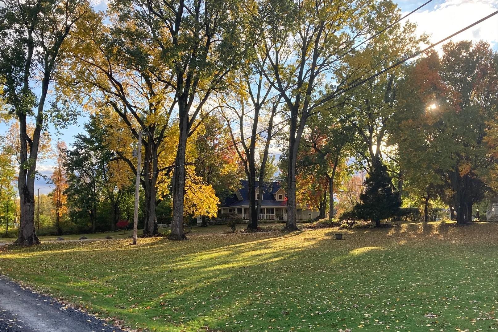 60 Holiday Point Road North Hero, VT 05474 - Photo 4 of 54