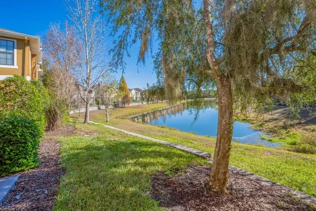 a view of a park with large trees