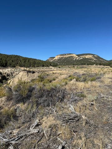 4 Mineral Springs Road Mount Carmel, UT 84755 - Photo 9 of 15