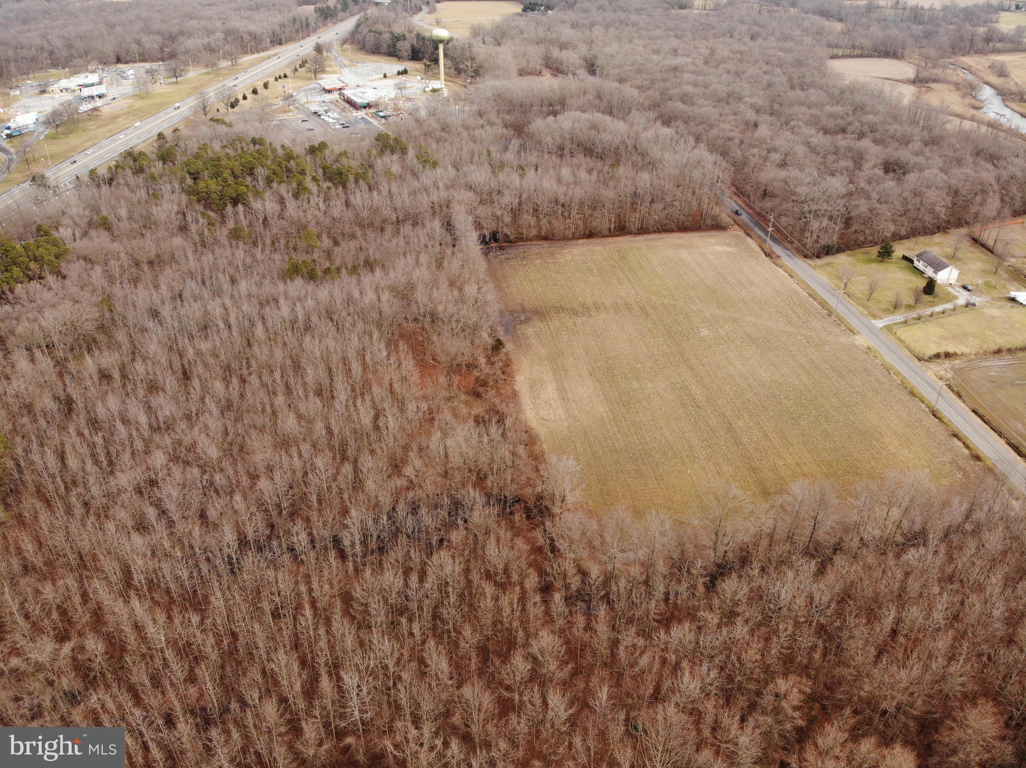 89 Pennsville Auburn Road Pedricktown, NJ 08067 - Photo 16 of 24 a view of a dry yard with trees